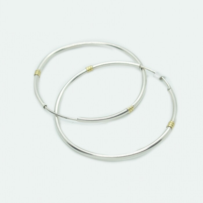 Caravanas en Oro y Plata Caravanas en Oro y Plata