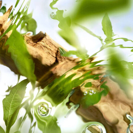 Fragancia Femenina Lancome Off Now EDT 100 ml