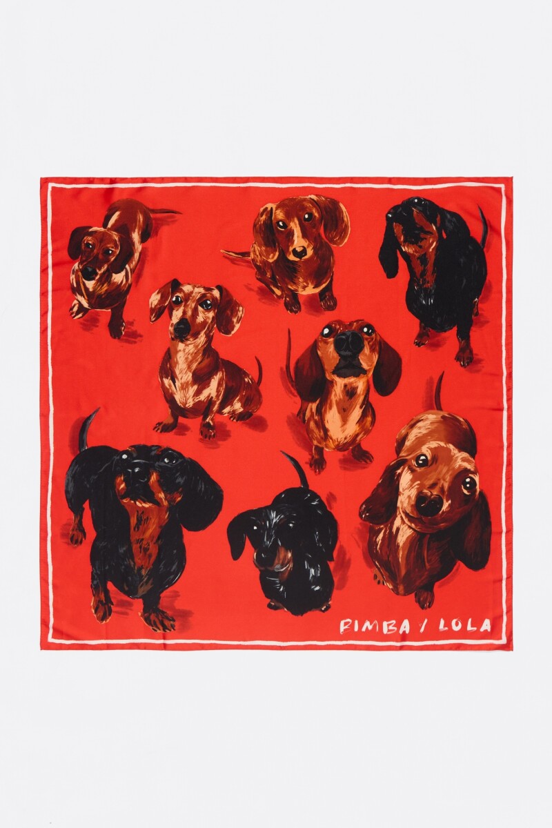 PAÑUELO Rojo