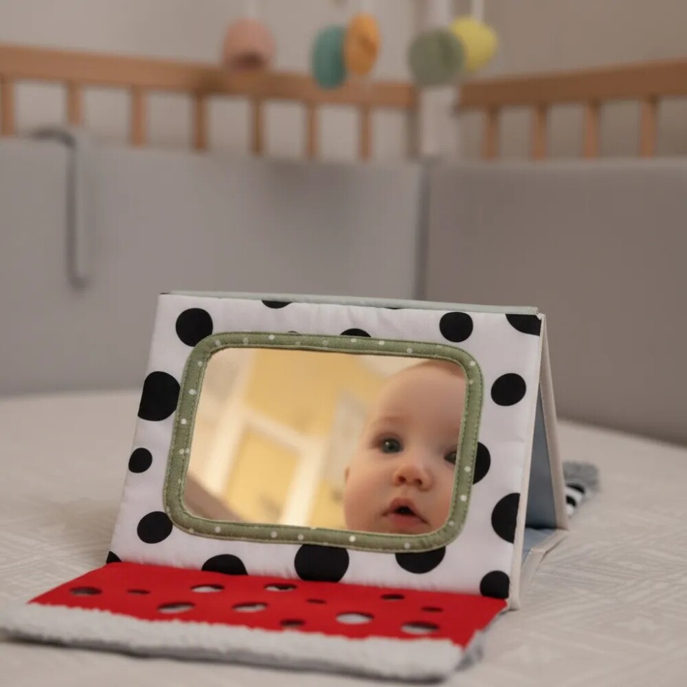 Libro Tummy-Time San antonio TAF TOYS Libro Tummy-Time San antonio TAF TOYS