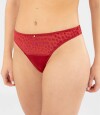 Colaless mystic Rojo