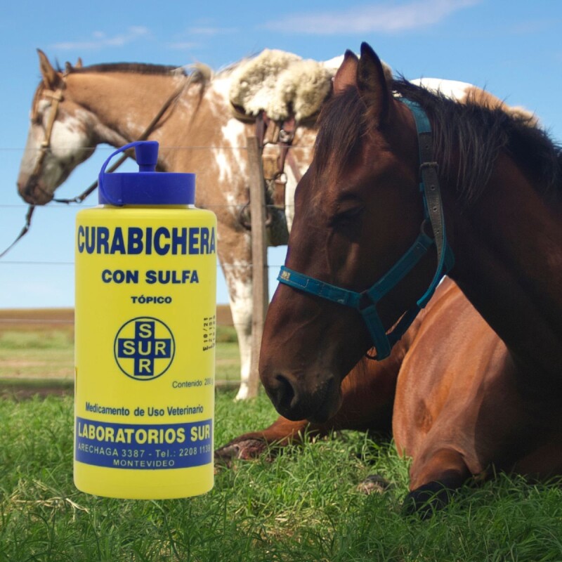 CURABICHERA SUR CON SULFA 200 G CURABICHERA SUR CON SULFA 200 G