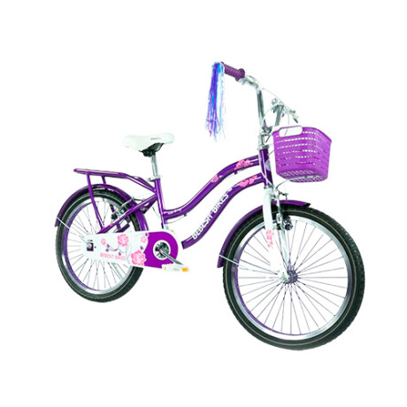 Bicicleta para Niños Bebesit Queen Rodado 20 001