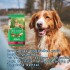 DOG CHOW PERROS ADULTOS RAZAS MEDIANAS Y GRANDES 21 KILOS DOG CHOW PERROS ADULTOS RAZAS MEDIANAS Y GRANDES 21 KILOS