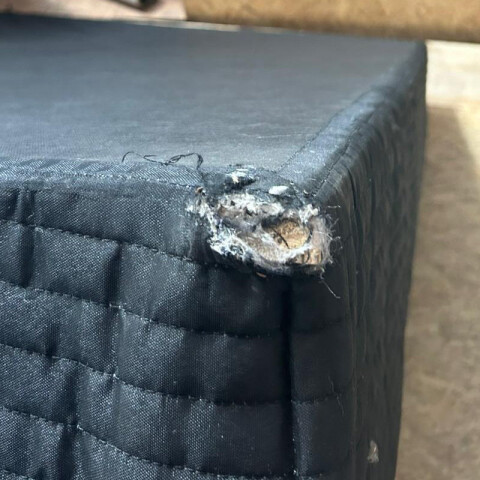 [OUTLET] Base Box para Colchón de 2 Plazas Matrimonial - Madera Revestida en Poliéster Negro [SIN PATAS] [OUTLET] Base Box para Colchón de 2 Plazas Matrimonial - Madera Revestida en Poliéster Negro [SIN PATAS]