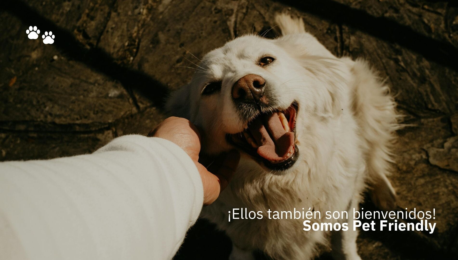 HomeQuintoTitulo