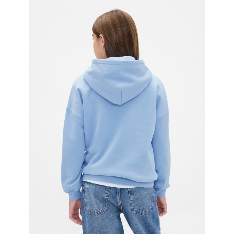 DIS_VTG SOFT OVS HOOD_FA25 WIND BLUE