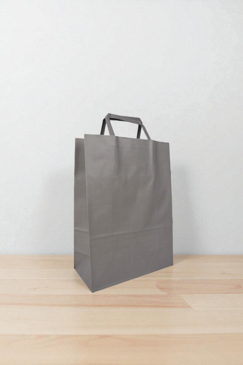 Bolsa lisa acuario 22x10x30 cm - GRIS SOMBRA 