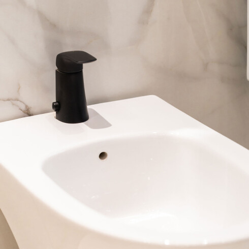 Griferia De Bidet Monocomando Negro Fv Epuyen 000