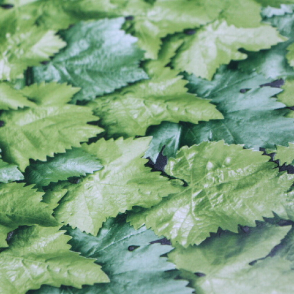 PAPEL ADHESIVO CONTACT X METRO COLOR 10195 LEAVES