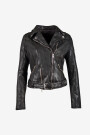 CHAQUETA WILD Negro