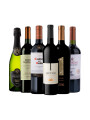 Pack Bacán Selección Bacanazo Fin de Año x6 vinos con carácter más un espumante Pack Bacán Selección Bacanazo Fin de Año x6 vinos con carácter más un espumante