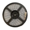CINTA LED CALIDO 3000K 5050 60L/M 12V 14.4W/M IP66 ROLLO DE 5 MTS CINTA LED CALIDO 3000K 5050 60L/M 12V 14.4W/M IP66 ROLLO DE 5 MTS