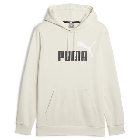 ESS+ 2 Col Big Logo Hoodie FL 58676487 Arena
