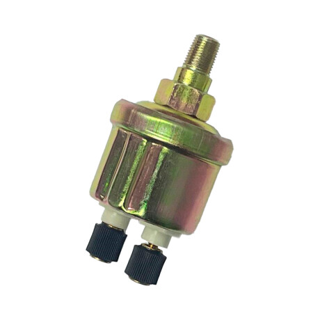 BULBO INTERRUPTOR DONGFENG BULBO ACEITE AEOLUS 1063 C125 - BULBO INTERRUPTOR DONGFENG BULBO ACEITE AEOLUS 1063 C125 -