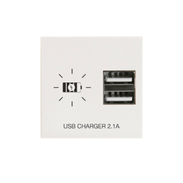 Módulo cargador p/2 USB 2,1A Presta blanco C51532