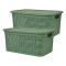 Set x2 Caja simil ratán 4 lts VERDE