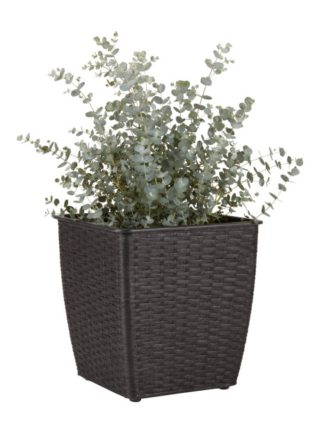 Maceta ISLOM 31x31x32 variado Maceta ISLOM 31x31x32 variado