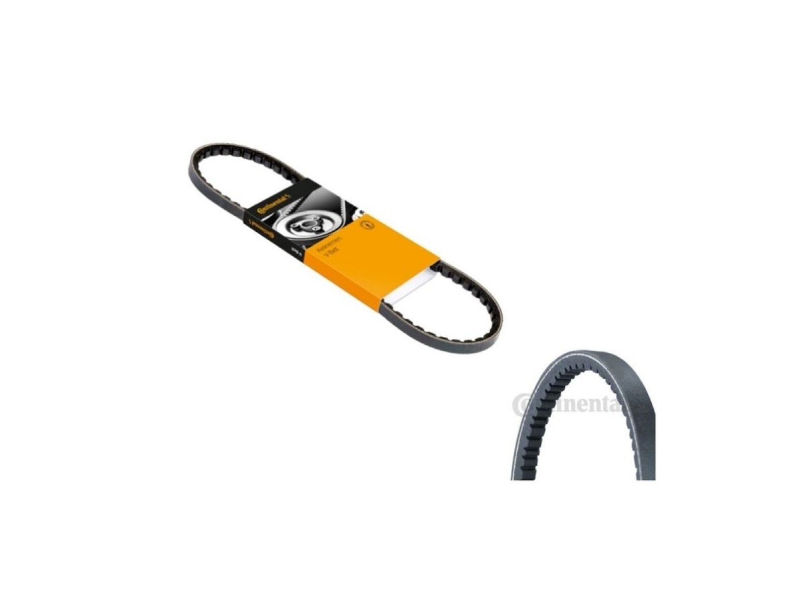 AVX10X1025 Correa de Accesorios Continental Mercedes 