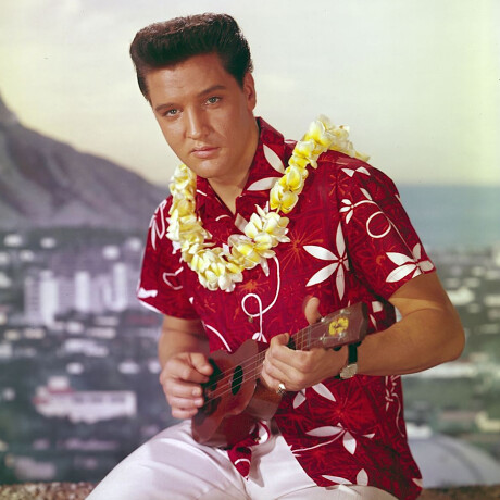 Blue Hawaii Elvis - 187 Blue Hawaii Elvis - 187