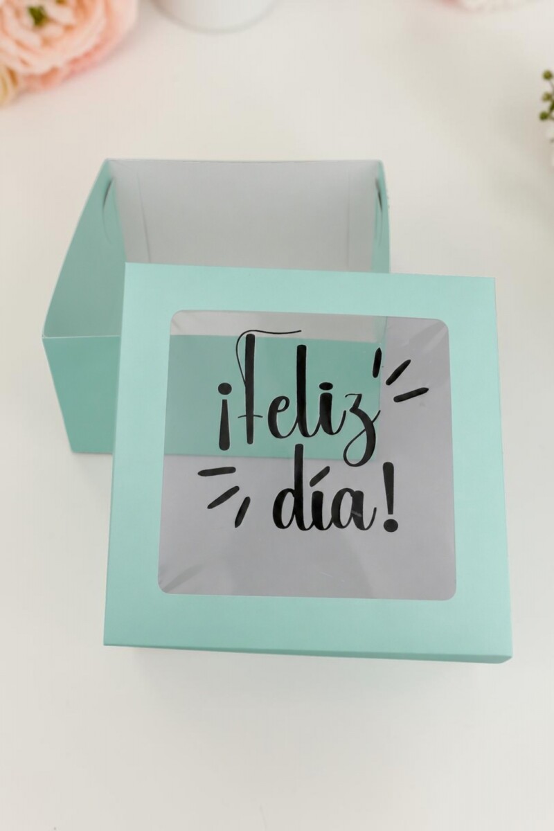 Caja flexi 20x20x9,5. c/visor impreso - VERDE AGUA - LISO 