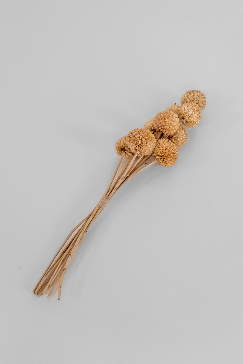 Deco Floral Ramo Bolas White Natural - Color Unico 