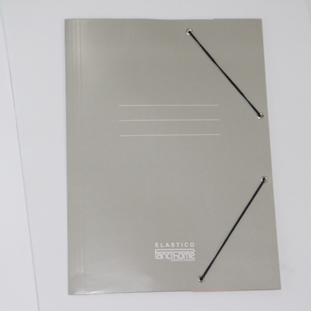 CARPETA PANCHROME CON ELASTICO 307 COLOR GRIS CARPETA PANCHROME CON ELASTICO 307 COLOR GRIS