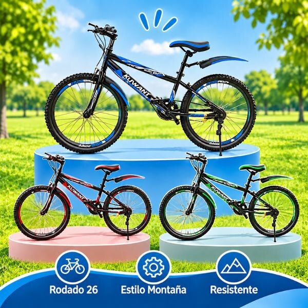 Bicicleta rodado 26