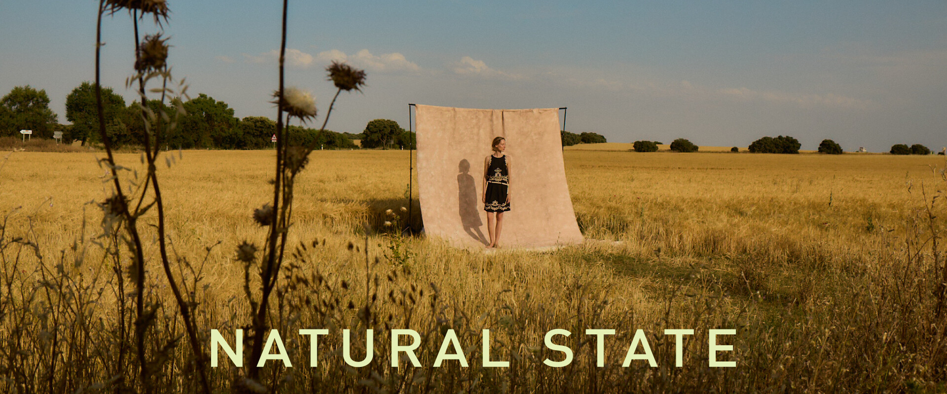 Natural State