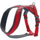 ARNES LONDON COMFORT 39-47 XS-S-ROJO ARNES LONDON COMFORT 39-47 XS-S-ROJO
