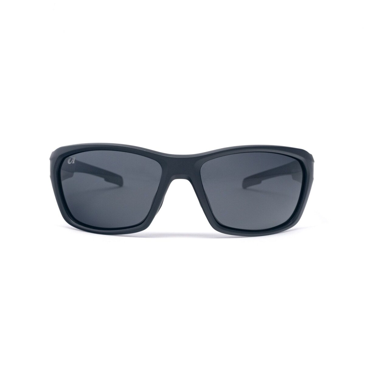 Lentes de Sol Arye Polarizados Armazón Negro Mate - Mate Ahumado 