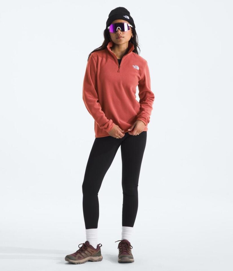 Buzo polar Glacier Mars Dust