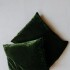 Terciopelo Cushion Verde