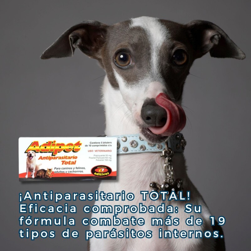 ADIPET ANTIPARASITARIO TOTAL BLISTER DE 10 COMPRIMIDOS ADIPET ANTIPARASITARIO TOTAL BLISTER DE 10 COMPRIMIDOS