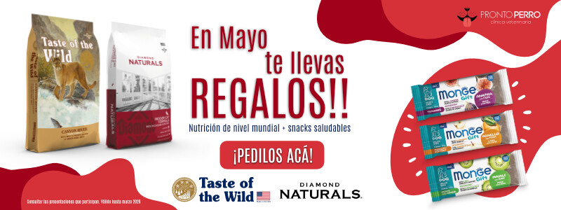 Promo Mayo (chico 1)