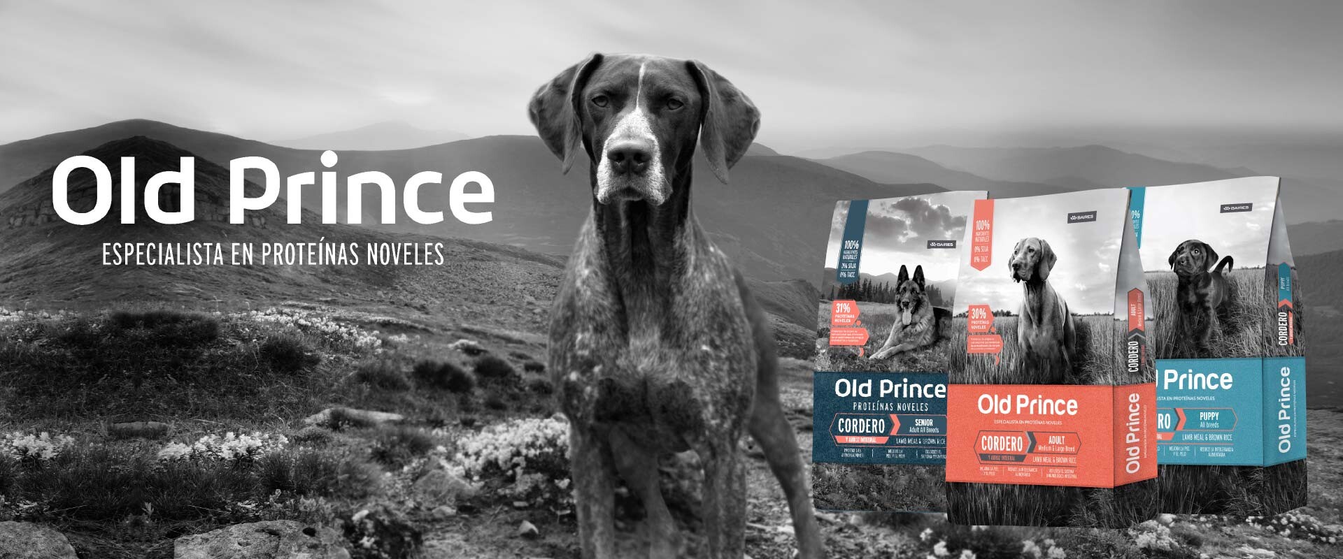 Old Prince