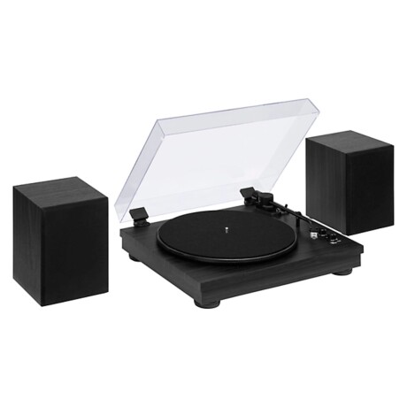 Bandeja De Vinilo Con Parlantes Gemini Tt900 Wood Bandeja De Vinilo Con Parlantes Gemini Tt900 Wood