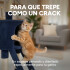 Rascador Torre 5 Niveles En Felpa Y Sisal Para Gato Juego Color Azul