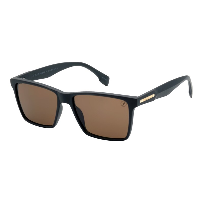 Lentes de Sol Chilli Beans Galápagos Marrón