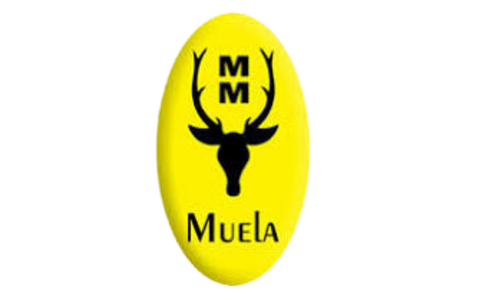 Muela