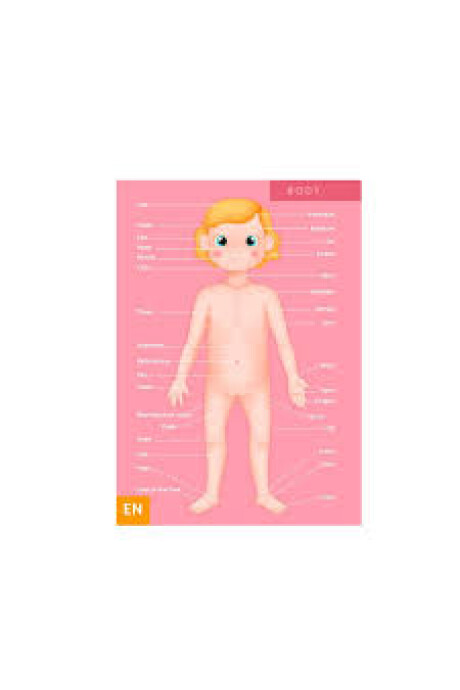 PUZZLE CUERPO HUMANO 100 PIEZAS PUZZLE CUERPO HUMANO 100 PIEZAS