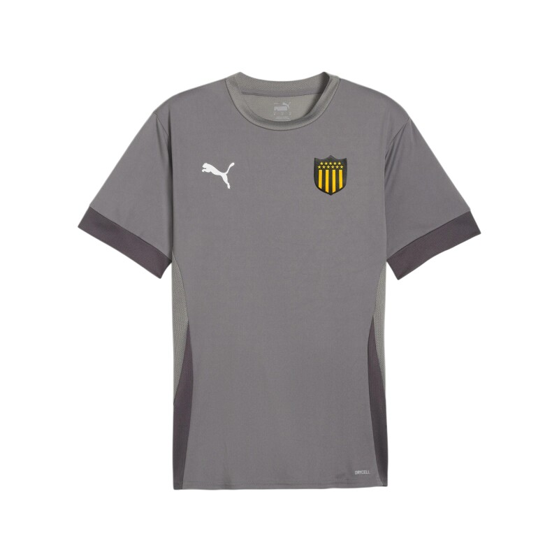 Camiseta Puma Teamgoal Matchday 13