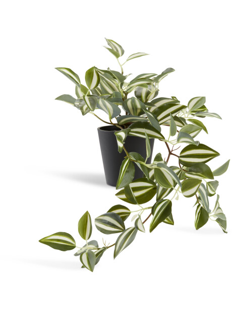 Planta artificial ASGAR A24cm verde Planta artificial ASGAR A24cm verde
