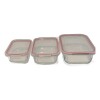 Set x 3 Tuppers Rectangulares de Vidrio c/Trabas - X-XM01-R Set x 3 Tuppers Rectangulares de Vidrio c/Trabas - X-XM01-R