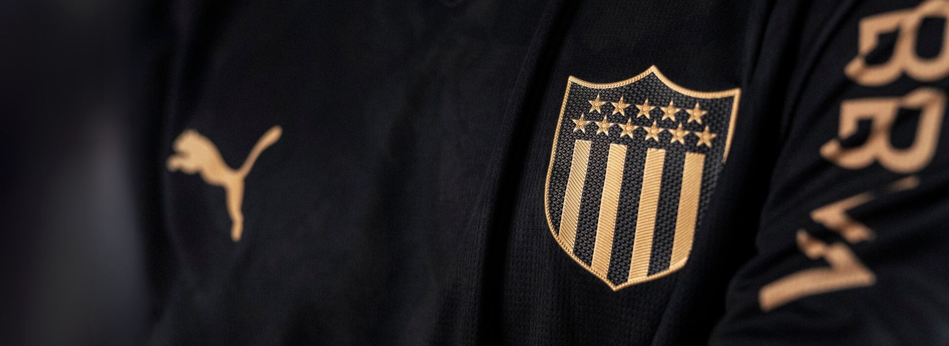Alternativa peñarol