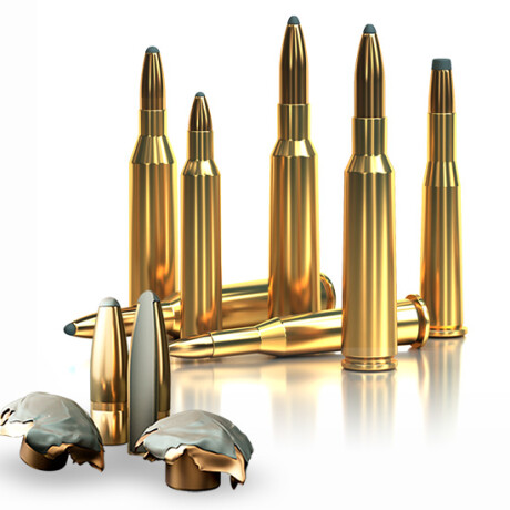 BALA S&B CAL 223 REM SP 55GRS BALA S&B CAL 223 REM SP 55GRS