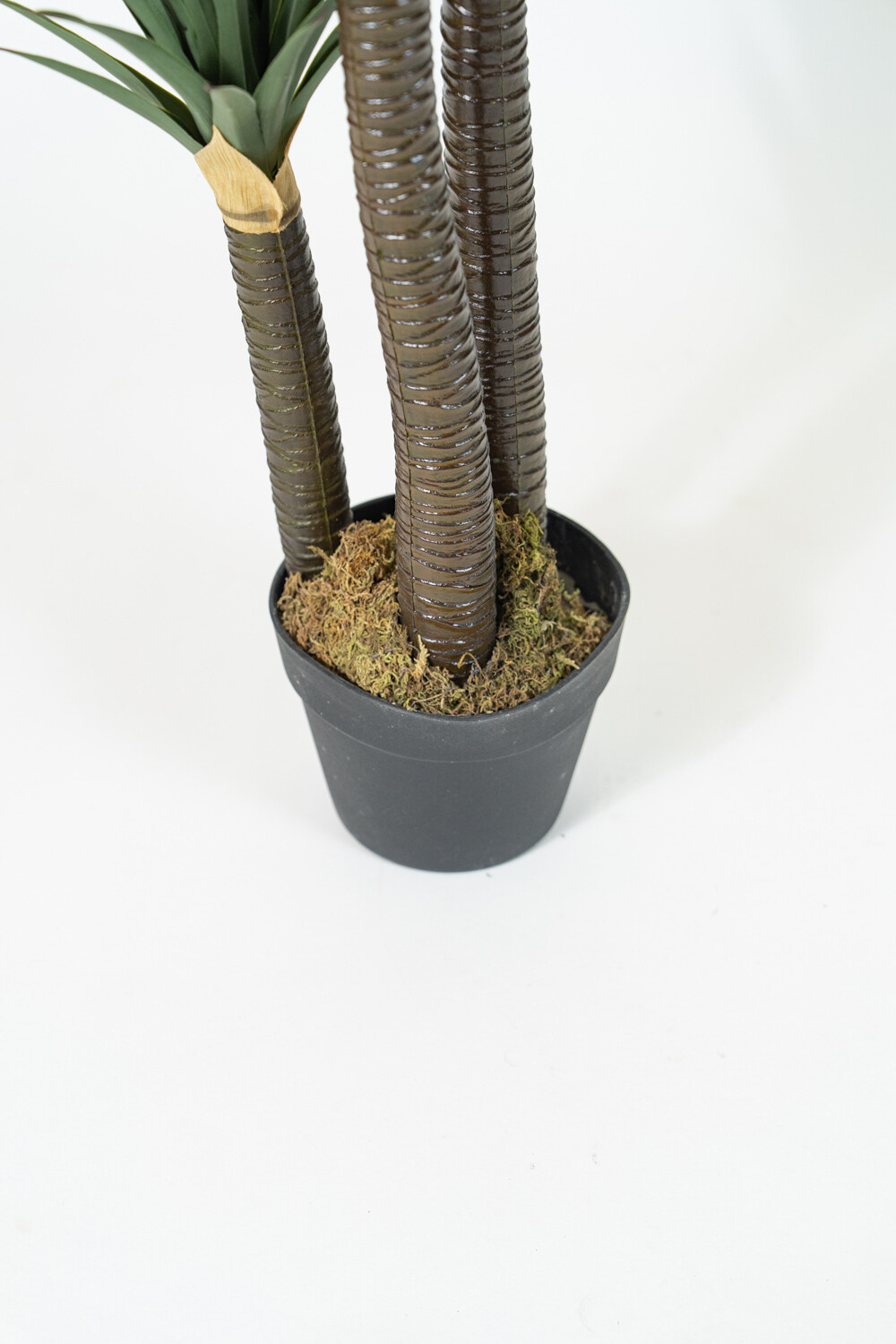 Planta Yucca 150cm Color Unico