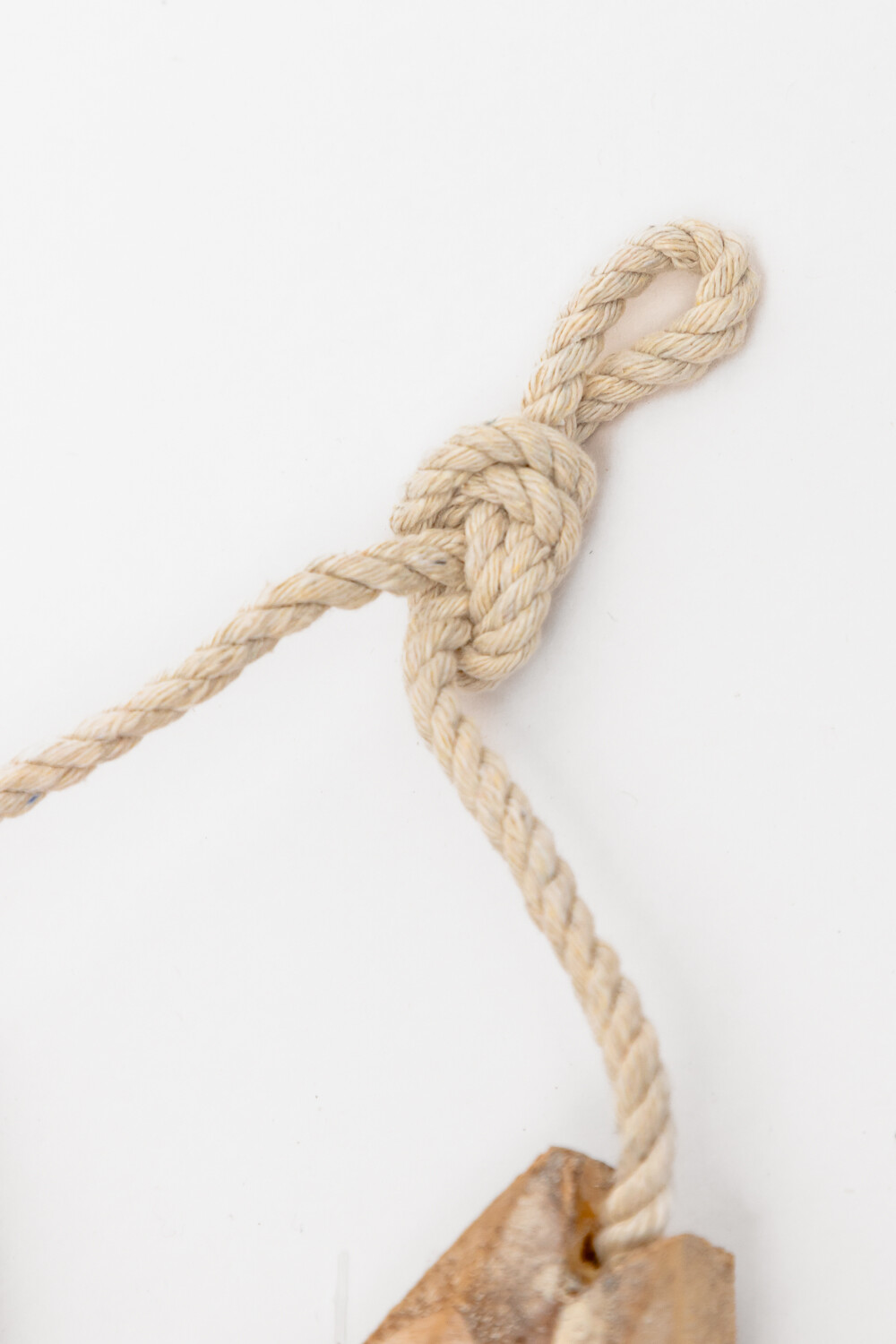 Adorno Fish Color Unico