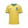 NIKE BRASIL LOCAL 2026 STADIUM 724