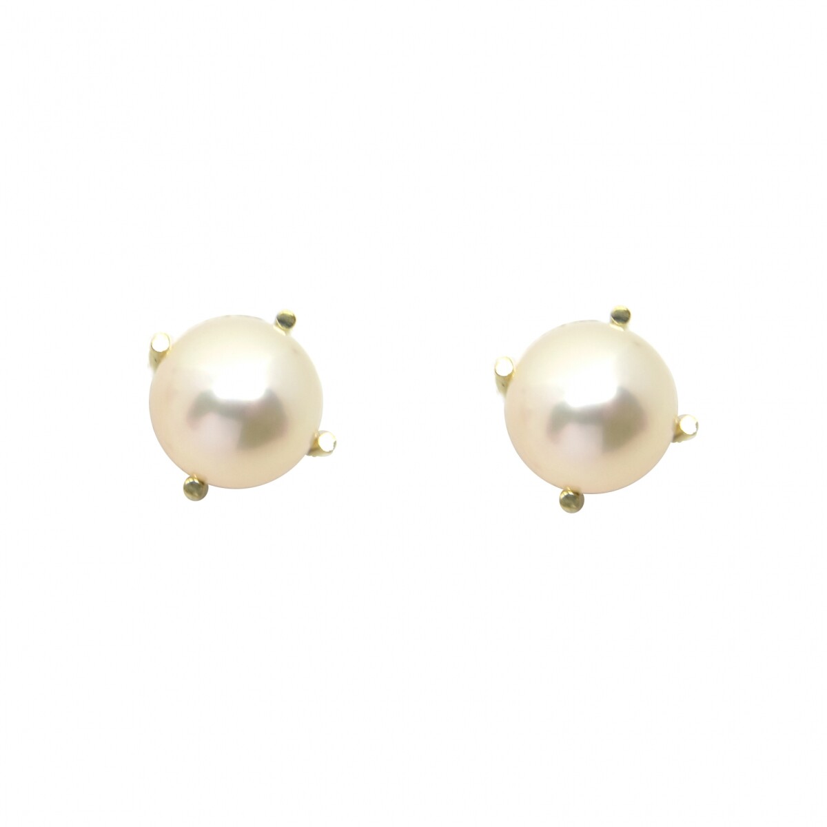 Caravanas de Oro 18Kilates con Perla de Cultivo 7.5 a 8mm Engarce 4 Puntas 